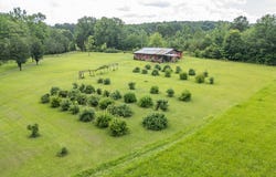 60 Waldon Drive, Millport, AL 35576
