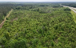 Us-98, McLain, MS 39456