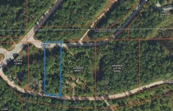4196 Wolf Lake Drive lot: #3 Lake Access Lot, Lewiston, MI 49756