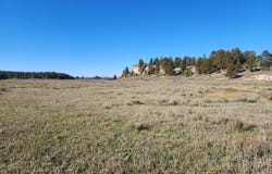 Tbd Divide Road, Whitewater, CO 81527