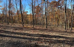 DIGGING BEAR LN, HILLSBORO, VA 20132
