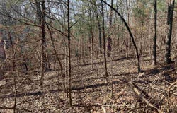 9999 Riverfront Drive, Mount Ida, AR 71957