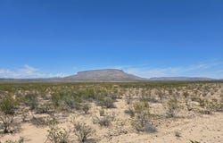 Alpine, TX 79830