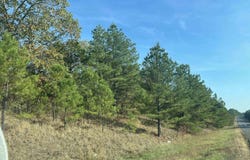 TBD Hwy 270, Malvern, AR 72104