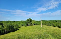 112 Acres Keefer Road, Corinth, KY 41010