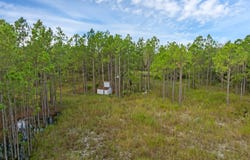 60 Natalies Lane, Ormond Beach, FL 32174