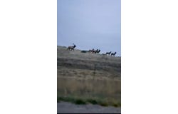 6031  Musellshell Trail Rd, Custer, MT 59024