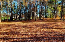1616 MEADOW LANE, GLEN MILLS, PA 19342