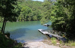 406 PARADISE Trl, Arley, AL 35541