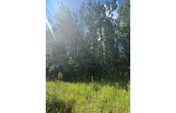 0 Dubberly Rd, Baxley, GA 31513