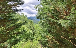 491 Signal Ridge Road lot: 25, Sylva, NC 28779