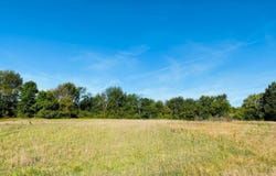 14335 Sheffields Way, Marne, MI 49435