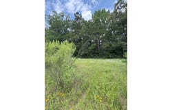Tbd County Road 425, Tenaha, TX 75974