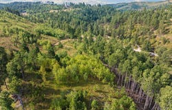21007 Alix Cir, Sturgis, SD 57785