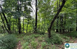 305 Shawnee Avenue, Easton, PA 18042