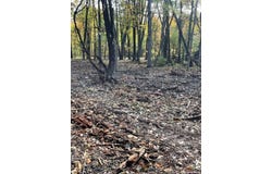 15 Tammy Trail, Athens, NY 12051