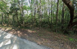 SW 13TH PLACE, OCALA, FL 34481