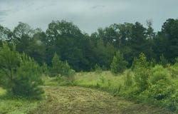 Us-51, Crystal Springs, MS 39059