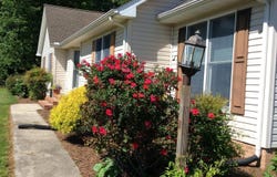 541 INGLESIDE ROAD, BARCLAY, MD 21607