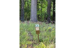 Lot 33 Jonathan Drive, Lowgap, NC 27024