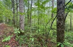 Lot 103 Bear Den Trl, Grandview, TN 37337