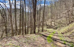 Grapevine Road, Marshall, NC 28753