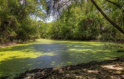 8088 Fm 118, Commerce, TX 75428