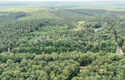 Winding Creek Drive, Carthage, NC 28327
