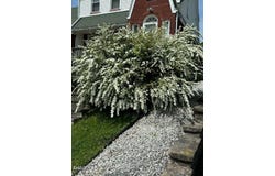 512 26th Avenue, Altoona, PA 16601