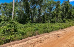 Lot #2 - 6.2 Ac Perry Horton, Adrian, GA 31002