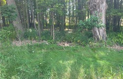 Rt-206, Masonville, NY 13804
