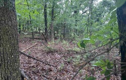 26 Norfork Drive, Maumelle, AR 72113