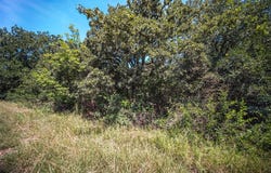 Tbd Round Hill Way, Runaway Bay, TX 76426