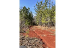 0 TRICE CEMETERY RD, HERITAGE, Thomaston, GA 30286