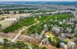 33+/- Acres Highway 167, Jack, AL 36346