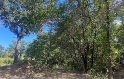 1051 Rose Ct, Nemo, TX 76043