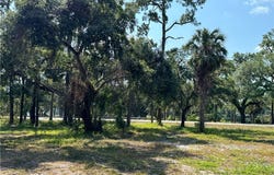 500 Avalon Avenue, Labelle, FL 33935