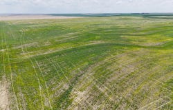 Co. Rd. 14 and Co. Rd. H, Saint Francis, KS 67756