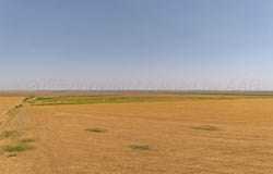 293 FM, Panhandle, TX 79068