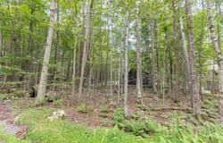 105 Lyman Lane, Clifton Township, PA 18424