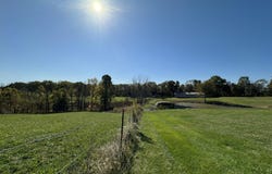 8 N Hwy 227, Worthville, KY 41098