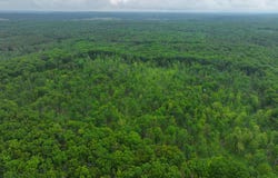 V/L 10.09a E Abermanis Trail, Luther, MI 49656