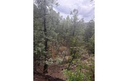 1 Acre Highway 63, Pecos, NM 87552