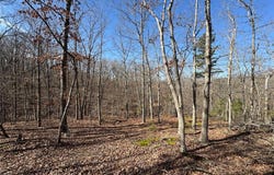 1003 Hidden Valley Lakes, Annapolis, MO 63620