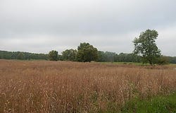 9500 Jones Road, Bellevue, MI 49021