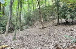Buck Drive, Hays, NC 28649