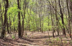 0 Abner Lane, Mount Airy, NC 27030