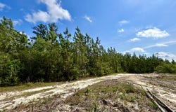 001 Old Highway 24, Neely, MS 39461