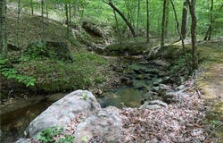 64.88 Ac Purcell Road, Reidsville, NC 27320