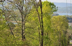 Tbd Boatmans Mountain Lot 4 Road, Morristown, TN 37814
